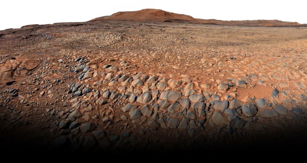 Mars-gatorback-cut_wo